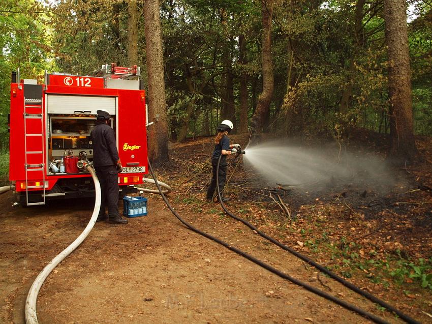 Waldbrand Bergisch Gladbach Bensberg P165.JPG